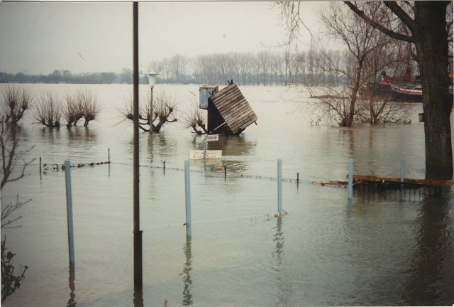 Hochwasser 1988