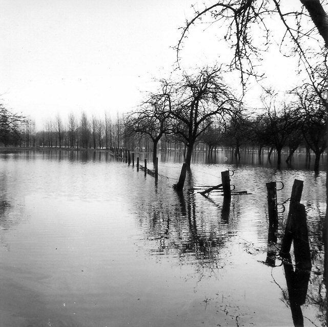 Hochwasser 1960er ?