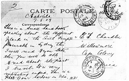 11 August 1909